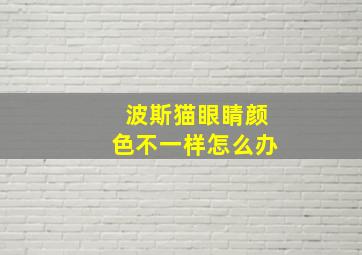 波斯猫眼睛颜色不一样怎么办