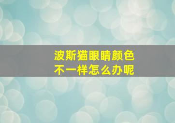 波斯猫眼睛颜色不一样怎么办呢