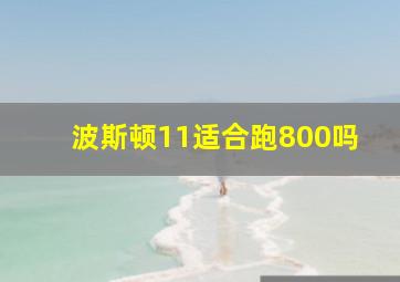 波斯顿11适合跑800吗