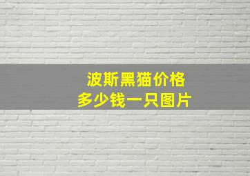 波斯黑猫价格多少钱一只图片