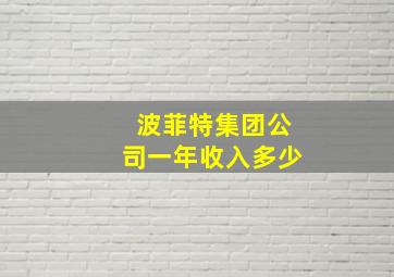 波菲特集团公司一年收入多少