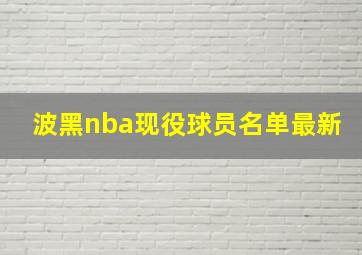 波黑nba现役球员名单最新