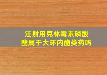 注射用克林霉素磷酸酯属于大环内酯类药吗