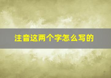 注音这两个字怎么写的