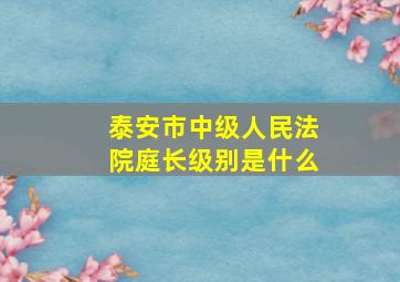 泰安市中级人民法院庭长级别是什么