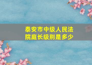 泰安市中级人民法院庭长级别是多少