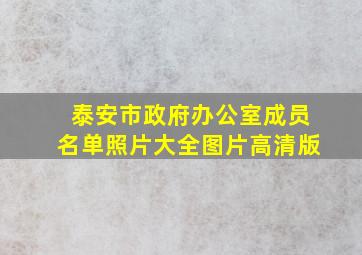 泰安市政府办公室成员名单照片大全图片高清版