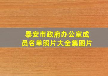 泰安市政府办公室成员名单照片大全集图片