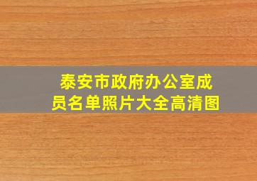 泰安市政府办公室成员名单照片大全高清图