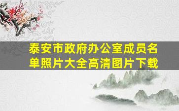 泰安市政府办公室成员名单照片大全高清图片下载