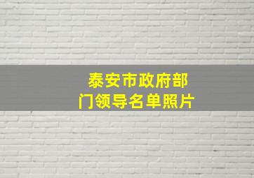 泰安市政府部门领导名单照片