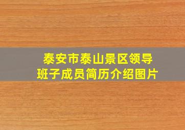 泰安市泰山景区领导班子成员简历介绍图片