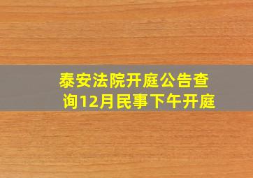 泰安法院开庭公告查询12月民事下午开庭