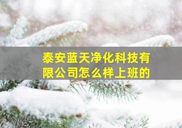 泰安蓝天净化科技有限公司怎么样上班的