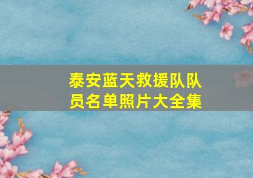 泰安蓝天救援队队员名单照片大全集