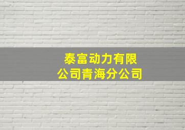 泰富动力有限公司青海分公司