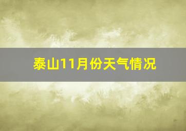 泰山11月份天气情况