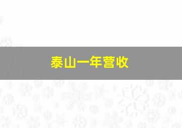 泰山一年营收