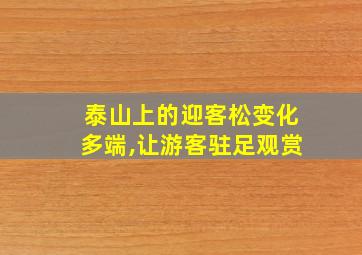 泰山上的迎客松变化多端,让游客驻足观赏