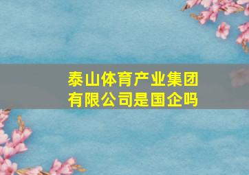 泰山体育产业集团有限公司是国企吗