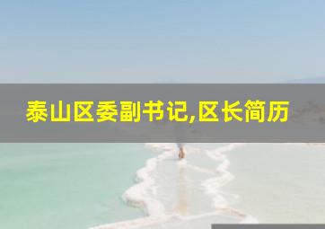 泰山区委副书记,区长简历