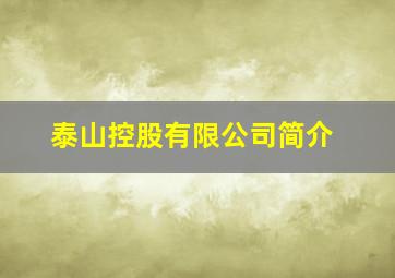 泰山控股有限公司简介