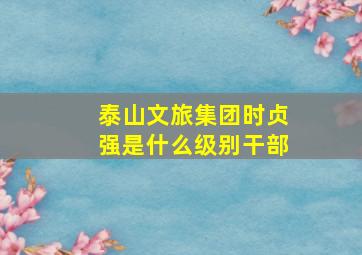 泰山文旅集团时贞强是什么级别干部