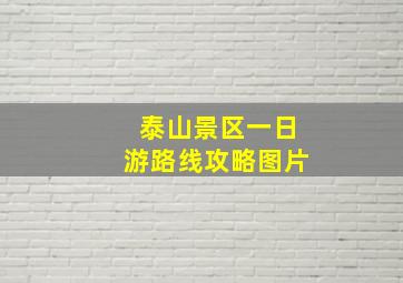 泰山景区一日游路线攻略图片