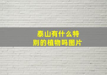 泰山有什么特别的植物吗图片