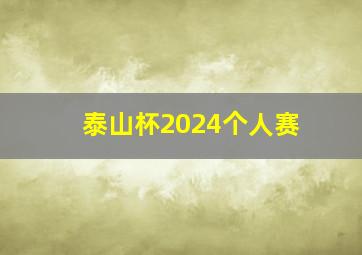 泰山杯2024个人赛