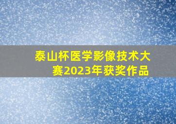 泰山杯医学影像技术大赛2023年获奖作品