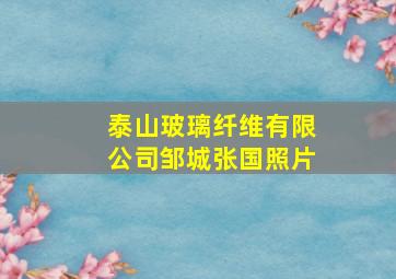 泰山玻璃纤维有限公司邹城张国照片