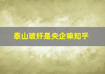 泰山玻纤是央企嘛知乎