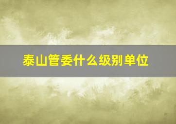 泰山管委什么级别单位