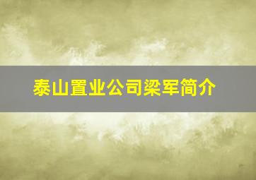 泰山置业公司梁军简介