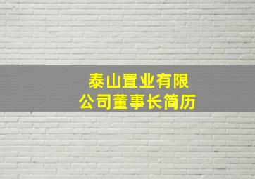 泰山置业有限公司董事长简历