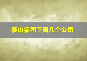 泰山集团下属几个公司