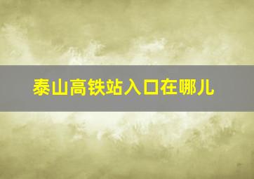 泰山高铁站入口在哪儿