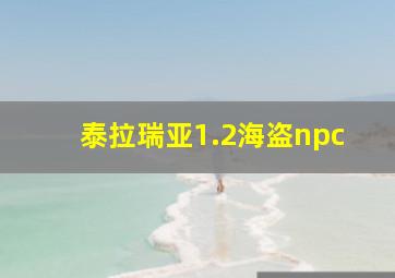 泰拉瑞亚1.2海盗npc