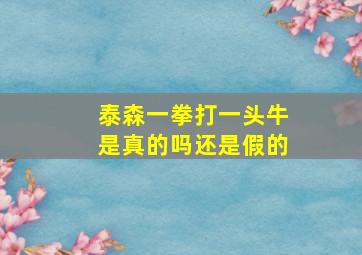 泰森一拳打一头牛是真的吗还是假的