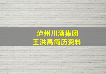 泸州川酒集团王洪禹简历资料