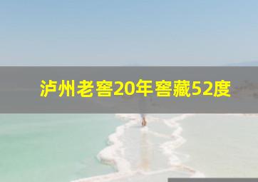 泸州老窖20年窖藏52度