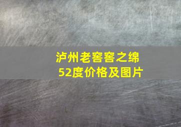 泸州老窖窖之绵52度价格及图片