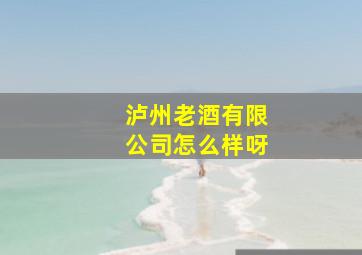 泸州老酒有限公司怎么样呀