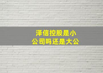 泽信控股是小公司吗还是大公