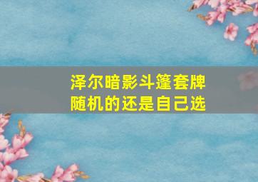 泽尔暗影斗篷套牌随机的还是自己选