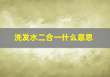 洗发水二合一什么意思