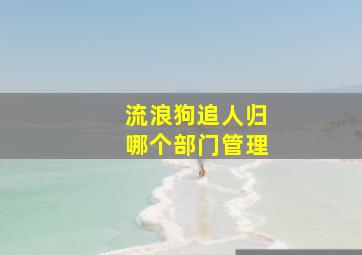 流浪狗追人归哪个部门管理