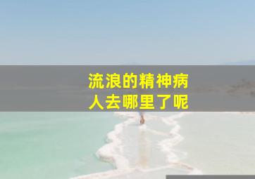 流浪的精神病人去哪里了呢