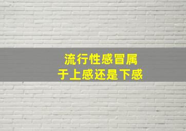 流行性感冒属于上感还是下感